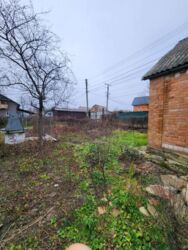 ������ ������� �������, ��� ������ ���� 7