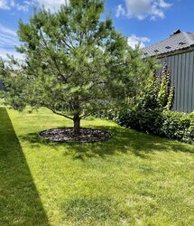  1        8 , 100 .   9