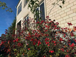 Продаж будинку у смт. Стрижавка фото 7 Продаж будинку у смт. Стрижавка фото 7