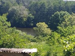 Будинок із земельною ділянкою 1 лiнiя , 16 соток , Стрижавка фото 5 Будинок із земельною ділянкою 1 лiнiя , 16 соток , Стрижавка фото 5