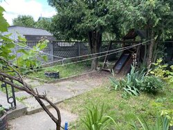 ������ 2 ����������� ������� � ������� �� 12 �����, �� ���. ����� ���������� ���� 4