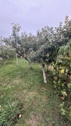 Продаж будинка в с.Гавришівка фото 11 Продаж будинка в с.Гавришівка фото 11