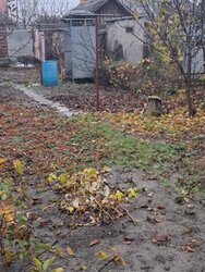 ������ ������� ������� �� ����. ����� ��� ���� 1