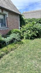 Продаж дачі в Петрику фото 1 Продаж дачі в Петрику фото 1