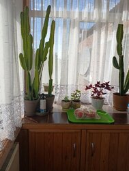 Продаж частини будинку на вул. Київська, смт. Стрижавка фото 18 Продаж частини будинку на вул. Київська, смт. Стрижавка фото 18