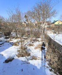 Продаж 1 поверхового будинку з гаражем і ділянкою на 5.2 сотки, 66.5 кв. м, вул. Олени Теліги фото 5 Продаж 1 поверхового будинку з гаражем і ділянкою на 5.2 сотки, 66.5 кв. м, вул. Олени Теліги фото 5