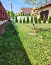 Продаж 1 поверхового будинку з гаражем і ділянкою на 12.5 сотки, 186 кв. м, 4 кімнати фото 4 Продаж 1 поверхового будинку з гаражем і ділянкою на 12.5 сотки, 186 кв. м, 4 кімнати фото 4