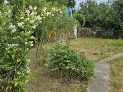 Продаж 1 поверхового будинку з гаражем і ділянкою на 4 сотки, с. Березина, вул. Дружби фото 5 Продаж 1 поверхового будинку з гаражем і ділянкою на 4 сотки, с. Березина, вул. Дружби фото 5