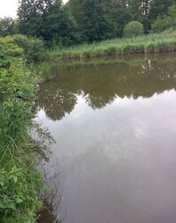 Продаж 1 поверхового будинку веранда і ділянкою на 12 соток, 50 кв. м, 3 кімнати фото 15 Продаж 1 поверхового будинку веранда і ділянкою на 12 соток, 50 кв. м, 3 кімнати фото 15