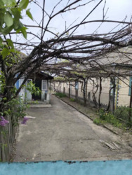 ������ �������, �. ������� ���� 1