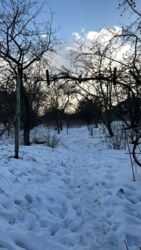 ������ �������, �������� ���� 4