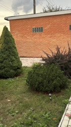 Продаж будинка в с.Гавришівка фото 7 Продаж будинка в с.Гавришівка фото 7