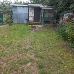 Продаж будинку в с. Щітки фото 2 Продаж будинку в с. Щітки фото 2