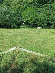 ������ 1 ����������� ������� � ������� �� 12 �����, 17 ��. �, 1 ������, �� ���. ��������� ���� 5