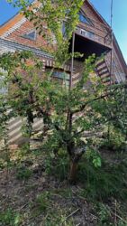 Продаж будинку на Старому місті. фото 8 Продаж будинку на Старому місті. фото 8