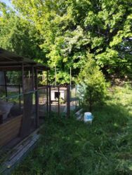 ������ �������, ����� ���� 5