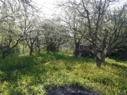 ������ 2 ����������� ������� � ������� �� 4 �����, 40 ��. �, 3 ������, �� ���. ���� ���� 6