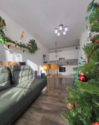 ��������� ������� ³�����, ³������� ���� 7