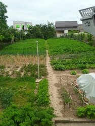 ������ 1 ����������� ������� � ������� �� 8 �����, 64 ��. �, ���. ������� ������������� ���� 9