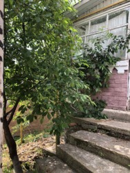 Продаж 1 поверхового будинку з садом і ділянкою на 10 соток, 65 кв. м, 2 кімнати, на вул. Данила Нечая фото 1 Продаж 1 поверхового будинку з садом і ділянкою на 10 соток, 65 кв. м, 2 кімнати, на вул. Данила Нечая фото 1