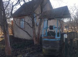 ������ ����, ����� �������, ����-����������� ���� 5