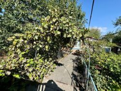 Продається будинок Вінницька, Вінниця, Ленінський, Сабарів, Заньковецької, 7 фото 2 Продається будинок Вінницька, Вінниця, Ленінський, Сабарів, Заньковецької, 7 фото 2