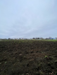 ������ ������� � �. ���������� (��������), ���. ����� ������ ���� 16