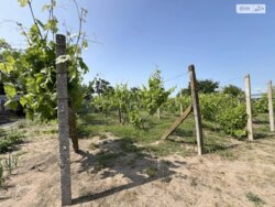 Продаж 1 поверхового будинку бесідка і ділянкою на 20 соток, 54.5 кв. м, 3 кімнати фото 9 Продаж 1 поверхового будинку бесідка і ділянкою на 20 соток, 54.5 кв. м, 3 кімнати фото 9