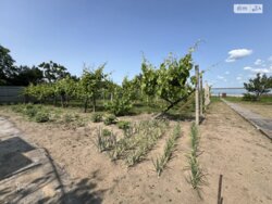 Продаж 1 поверхового будинку бесідка і ділянкою на 20 соток, 54.5 кв. м, 3 кімнати фото 5 Продаж 1 поверхового будинку бесідка і ділянкою на 20 соток, 54.5 кв. м, 3 кімнати фото 5