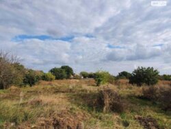 Продається будинок Миколаївська, Миколаїв, Центральний, Соляні, Павла Лозового фото 17 Продається будинок Миколаївська, Миколаїв, Центральний, Соляні, Павла Лозового фото 17