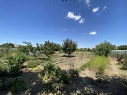 Продається будинок Миколаївська, Жовтневий, Лимани, Набережна фото 22 Продається будинок Миколаївська, Жовтневий, Лимани, Набережна фото 22