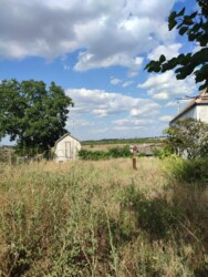 ������ ��� �������� ���� 15