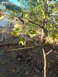  1        5 , 65 . , 4   8