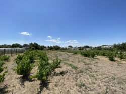 Продається будинок Миколаївська, Жовтневий, Лимани, Набережна фото 23 Продається будинок Миколаївська, Жовтневий, Лимани, Набережна фото 23