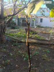  1        5 , 65 . , 4   7