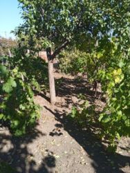 Продається будинок Миколаївська, Миколаїв, Центральний фото 3 Продається будинок Миколаївська, Миколаїв, Центральний фото 3