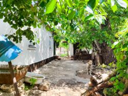 Продається будинок Миколаївська, Миколаїв, Центральний, Садовая - 9 Слободская, Степовая 9 Слаботская фото 1 Продається будинок Миколаївська, Миколаїв, Центральний, Садовая - 9 Слободская, Степовая 9 Слаботская фото 1