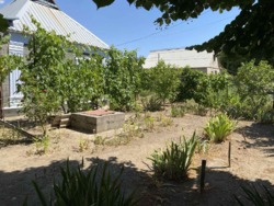 Продається будинок Миколаївська, Жовтневий, Лимани, Набережна фото 21 Продається будинок Миколаївська, Жовтневий, Лимани, Набережна фото 21