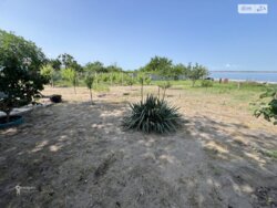 Продаж 1 поверхового будинку бесідка і ділянкою на 20 соток, 54.5 кв. м, 3 кімнати фото 11 Продаж 1 поверхового будинку бесідка і ділянкою на 20 соток, 54.5 кв. м, 3 кімнати фото 11