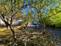 🏡 Продаж будинку з чудовим розташуванням! фото 5 🏡 Продаж будинку з чудовим розташуванням! фото 5