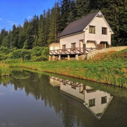 ��������� ������� ���������, ������, �����-���������� ���� 1