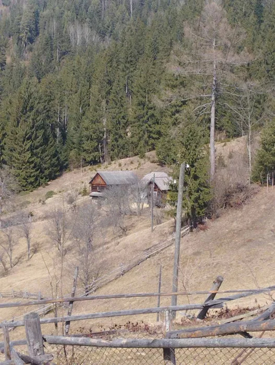 ��������� ������� ������� �����, ������� ������, �������������, �����-���������� ���� 1