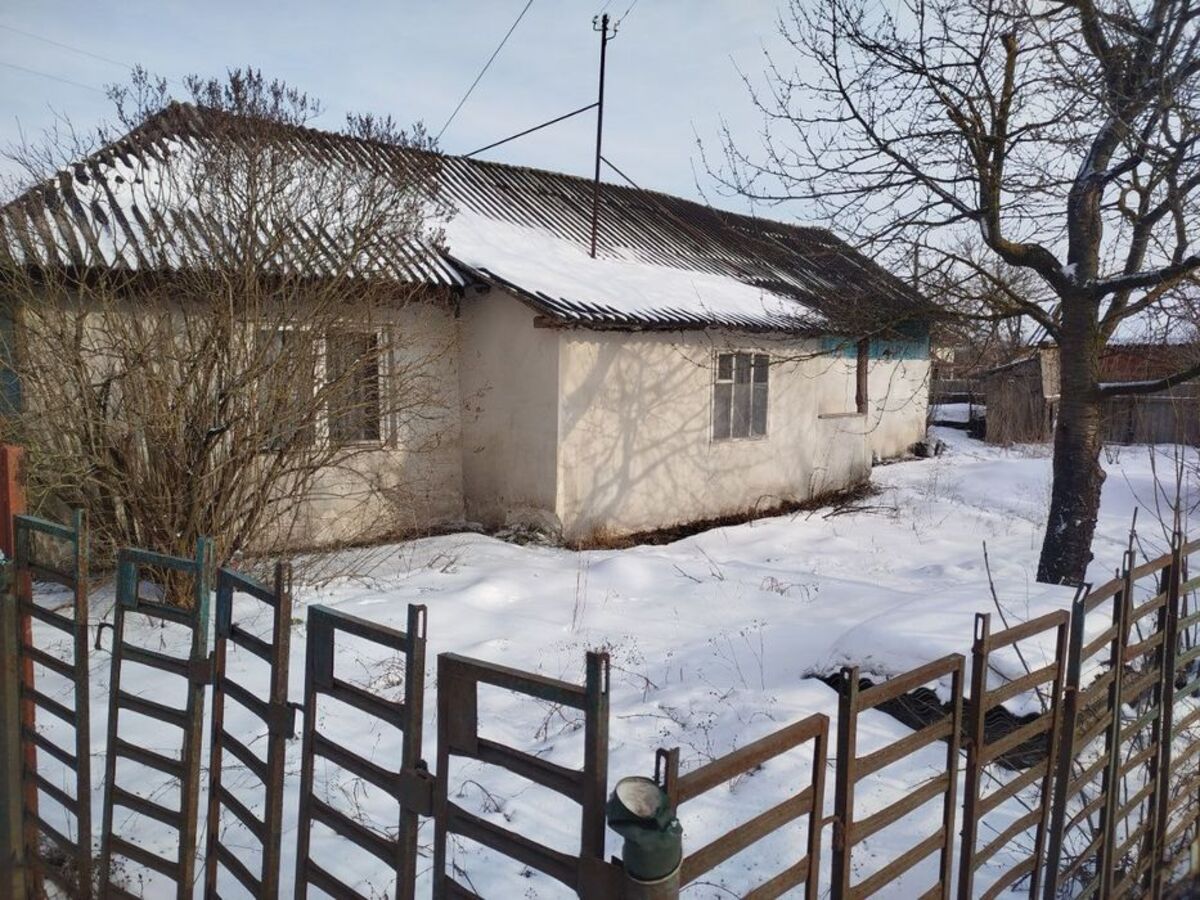 ��������� ������� ��������, ϳ�����, ������������, �����-���������� ���� 1