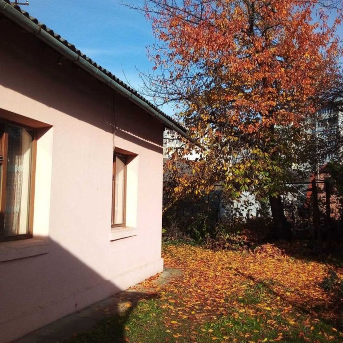 ��������� ������� ���� ���., 103�, �����-���������, �����-����������, ������ ���� 1