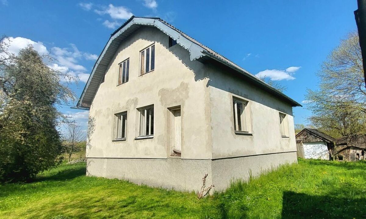 ��������� ������� ������, 40�, ������, ������������, �����-���������� ���� 1