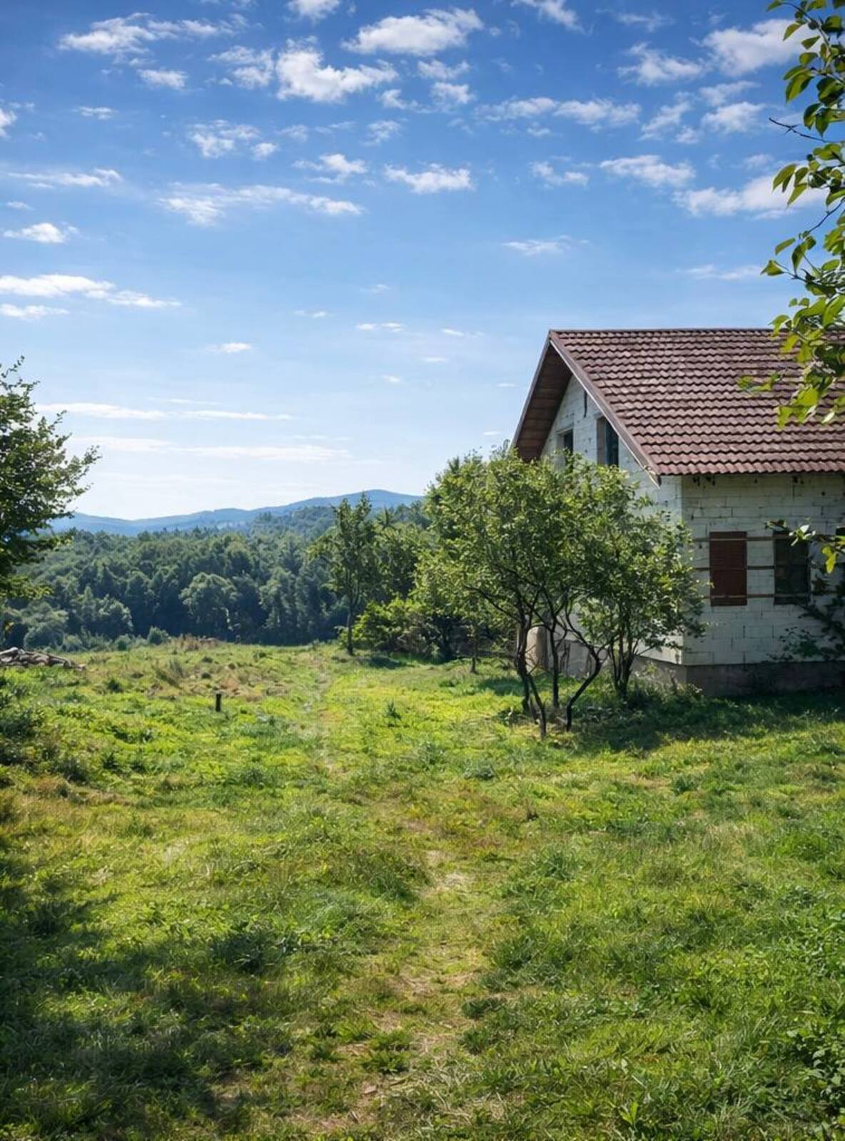 ��������� ������� �����-����������, ���������, ��������� ���� 1