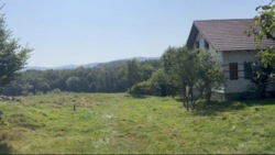 ��������� ������� �����-����������, ���������, ��������� ���� 8