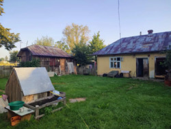 ��������� ������� ������, ������, ������������, �����-���������� ���� 5