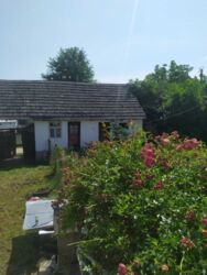 Продається будинок Пуків, Рогатинський, Івано-Франківська фото 11 Продається будинок Пуків, Рогатинський, Івано-Франківська фото 11