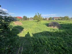 ��������� ������� ������������, �����-���������� ���� 7